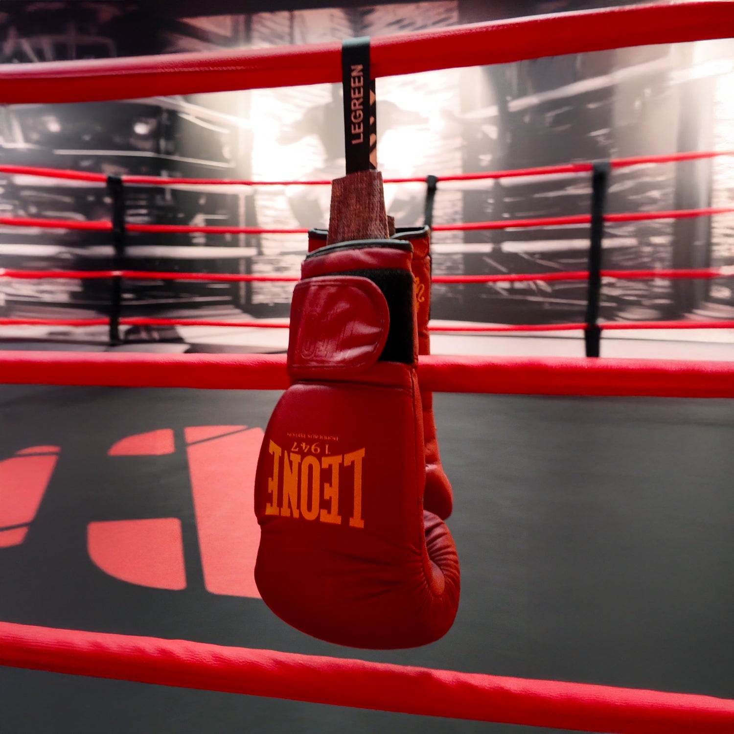 Fighter Pack